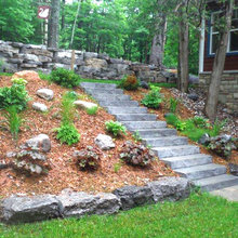 Landscape Ideas