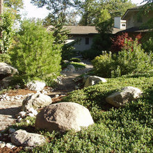 Dry stream beds