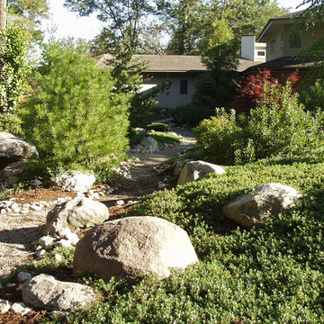 Dry Stream Beds
