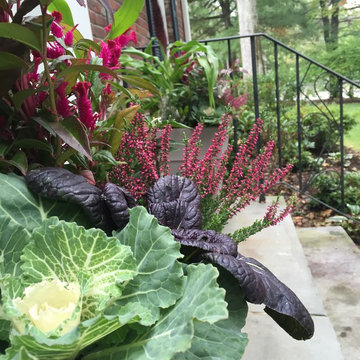 Autumn containers