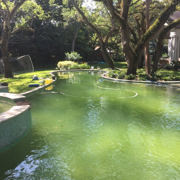 Green Pool Algae Removal Shock Treatment