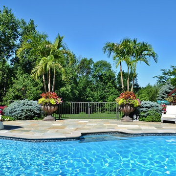 Kid Friendly Tropical Poolside Backyard