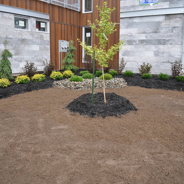 Plantation
