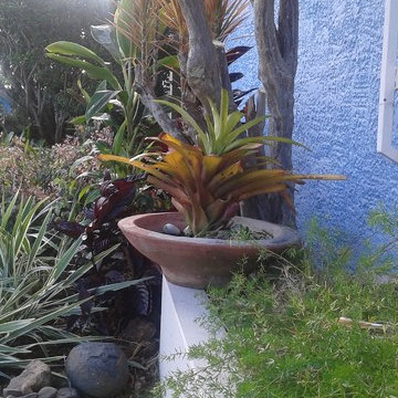 Charming up a Caribbean-colonial front yard