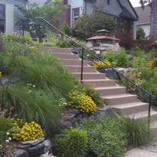 Hillside landscapes
