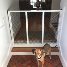 Gate For The Pups