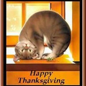 Carlene Bell's photo