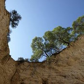 Laura Bigatton's photo
