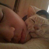 Ting Huang's photo