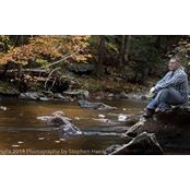 Stephen Harris's photo