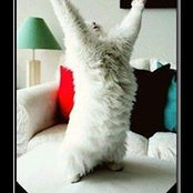 Olia Ks foto