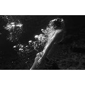 Kasia Sadowska's photo