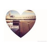 Sameh Badrs foto