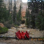 Lorelei Nielsen's photo