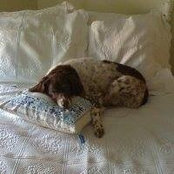 Joanne Schrimpf's photo
