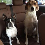 Seamus Sweeney's photo