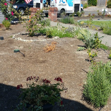 Edible Front Yard