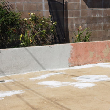 Backyard clean up and remodel
