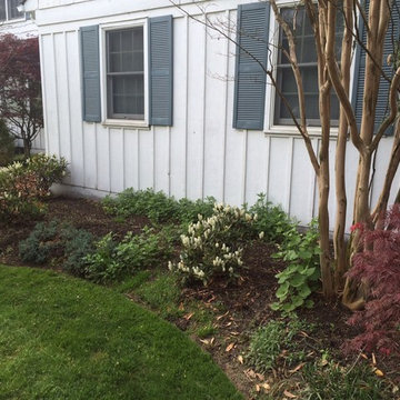 Landscape - Front Foundation