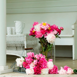Cottage Mix Herbaceous Peony - Plants
