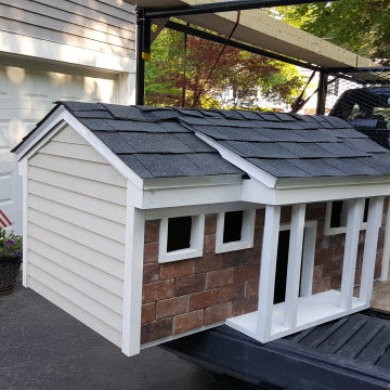 doghouse replica of my house