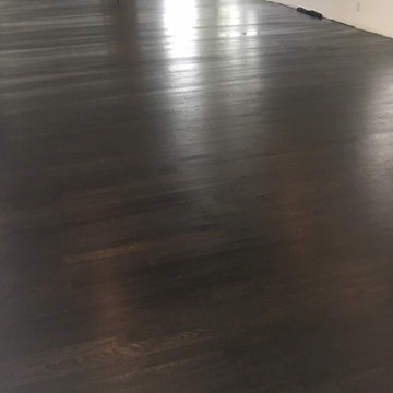 Our Work