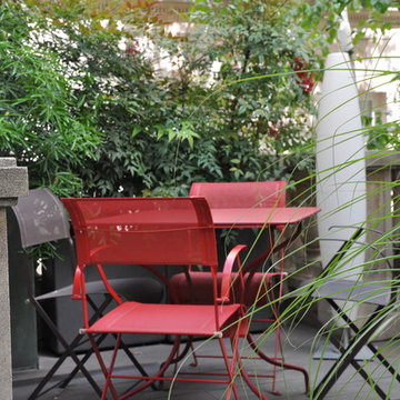 UN JARDIN DE FEUILLAGES