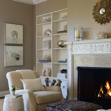 Fireplace & side shelves on each side