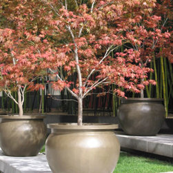 planters displays - Outdoor Pots And Planters