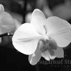 05_Black and White - Home Decor