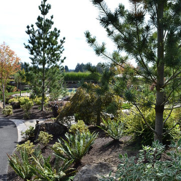 Front Landscape Bed