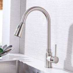 Flg Pull Out Kitchen Tap - Kitchen Faucets