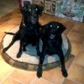 Melissa Blackburn's photo