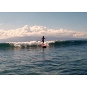 Julie Okada's photo