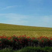 Foto von Lara Baysan
