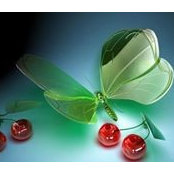 Madhuri Maurya's photo