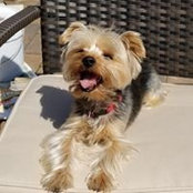 Olga Scarcella's photo