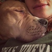 Sarah Borok's photo