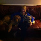 Nancy Aucoin's photo