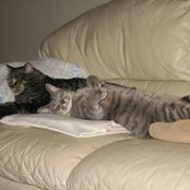 Barbara J Johnson's photo