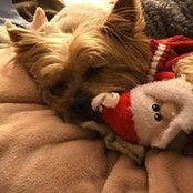 Janet Taddie's photo