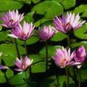 Yolanda C's photo