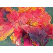 Sonya Conti's photo