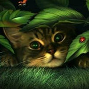 Jennifer Knutson's photo