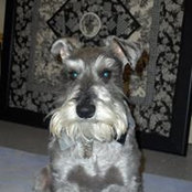 Wanda Holden's photo