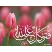 Foto von Sadaf Sheikh