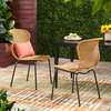 Lampman Outdoor Boho Wicker Dining Chair, Set of 2, Light Brown/Black