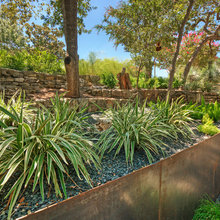plants