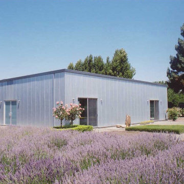 Napa Valley Art Collector's Home