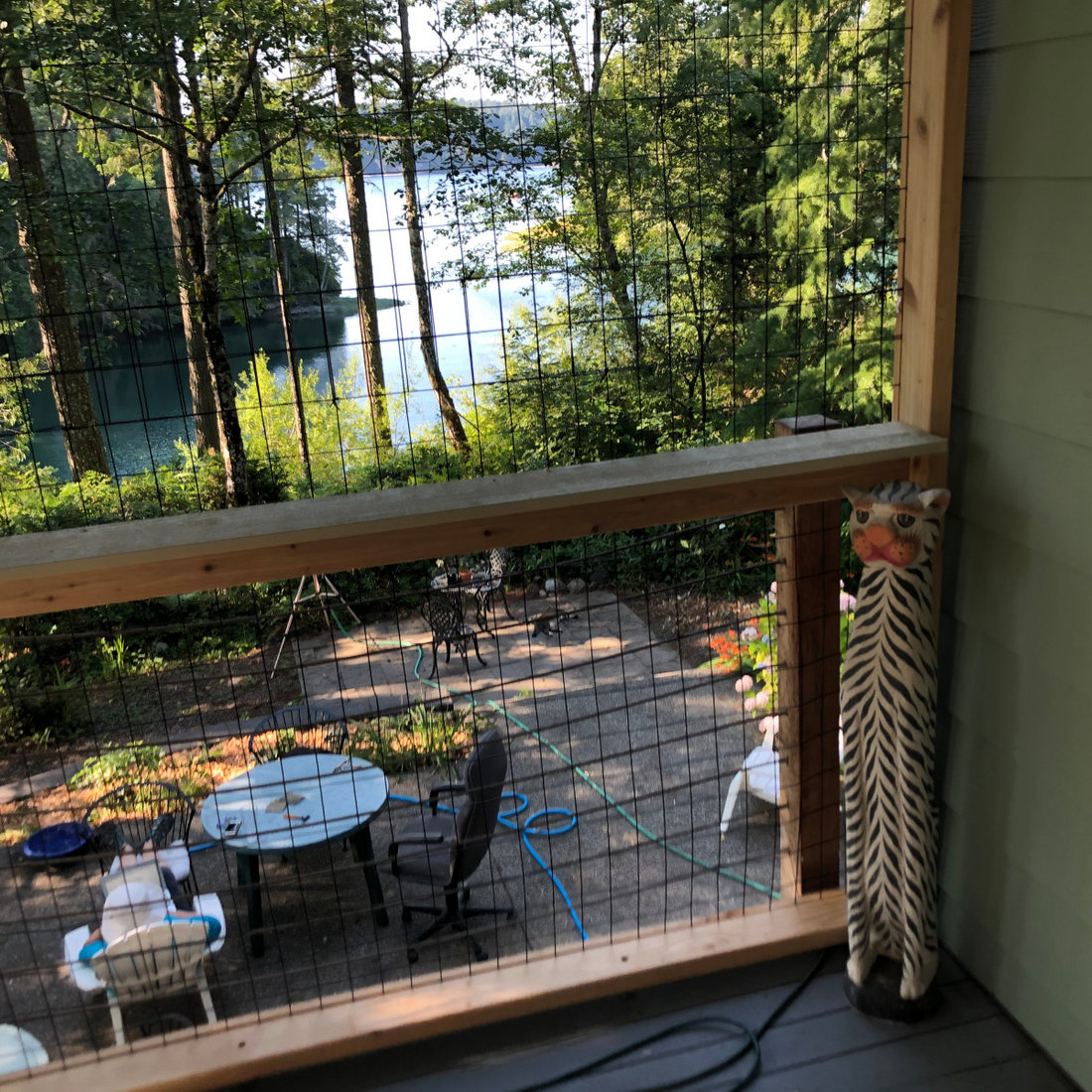 Catio